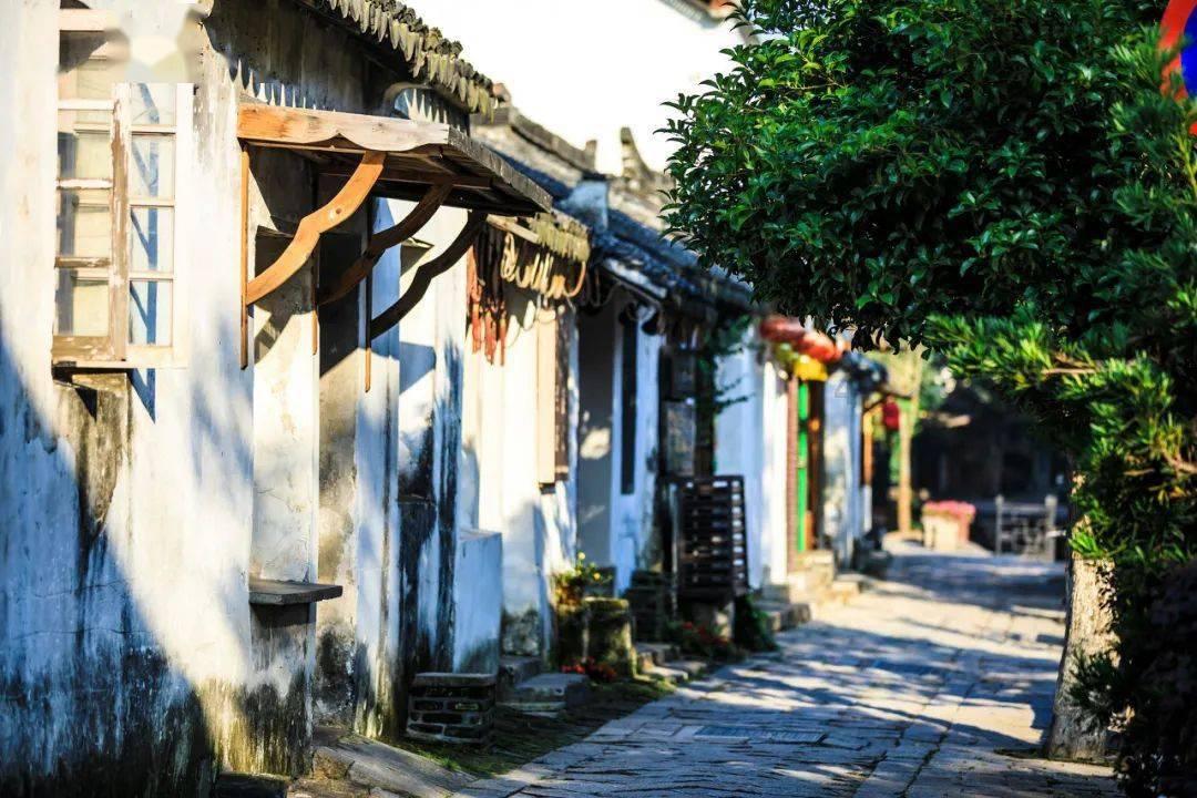 优雅机智,尽在
